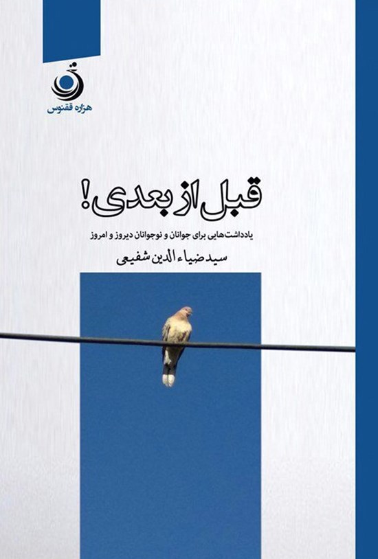 تصویر جلد کتاب قبل از بعدی