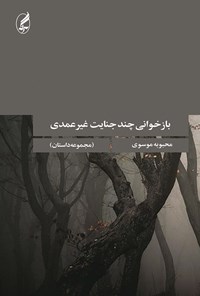 تصویر جلد کتاب بازخوانی چند جنایت غیر عمدی