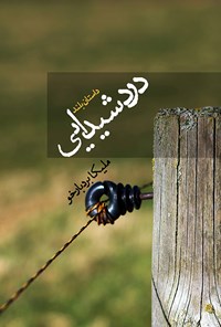 تصویر جلد کتاب درد شیدایی