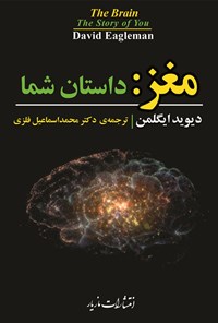 مغز داستان شما