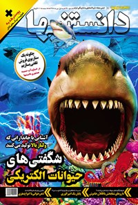 تصویر جلد کتاب دوهفتهنامه همشهری دانستنیها ـ شماره ۲۴۰ - نیمه اول دی ۹۸
