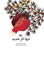 تصویر جلد کتاب تنها انار خندید