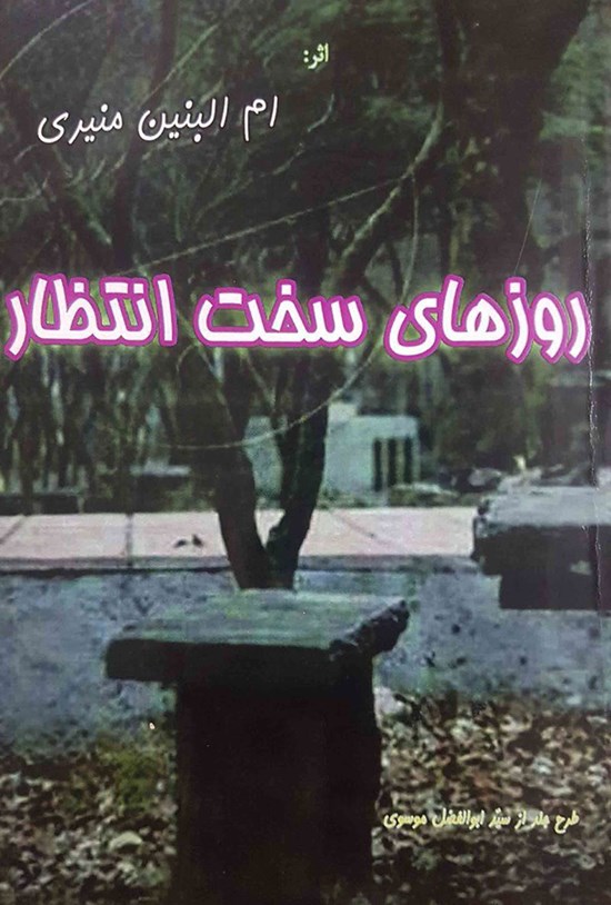 تصویر جلد کتاب روزهای سخت انتظار