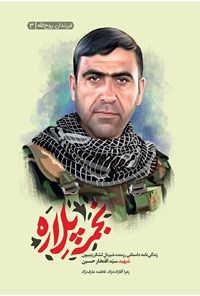 تصویر جلد کتاب نجمه پلاره