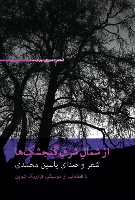 تصویر جلد کتاب از شمال شرق گنجشکها؛ شعرهای ۸۲ تا ۹۱