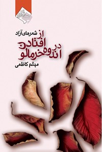 کتاب از افتادن در اندوه خرمالو اثر میثم کاظمی