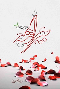 تصویر جلد کتاب بیراهه