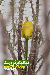 تصویر جلد کتاب نهالهای برومند