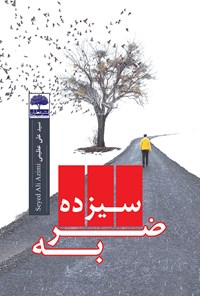 کتاب سیزده ضربه اثر سیدعلی عظیمی