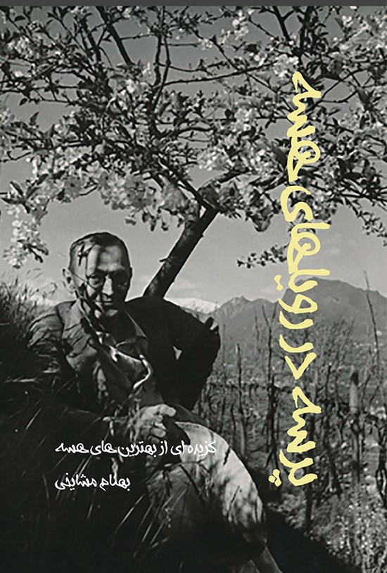 تصویر جلد کتاب پرسه در رویاهای هسه