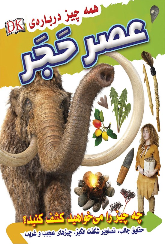 تصویر جلد کتاب همهچیز دربارهی عصر حَجَر