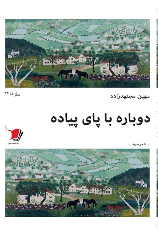تصویر جلد کتاب دوباره با پای پیاده