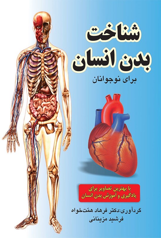 تصویر جلد کتاب شناخت بدن انسان برای نوجوانان