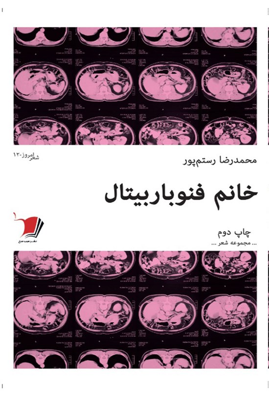 تصویر جلد کتاب خانم فنوباربیتال