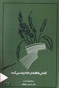 کتاب گلدان‌ها فقط در خانه رشد می‌کنند اثر امیرحسین بریمانی