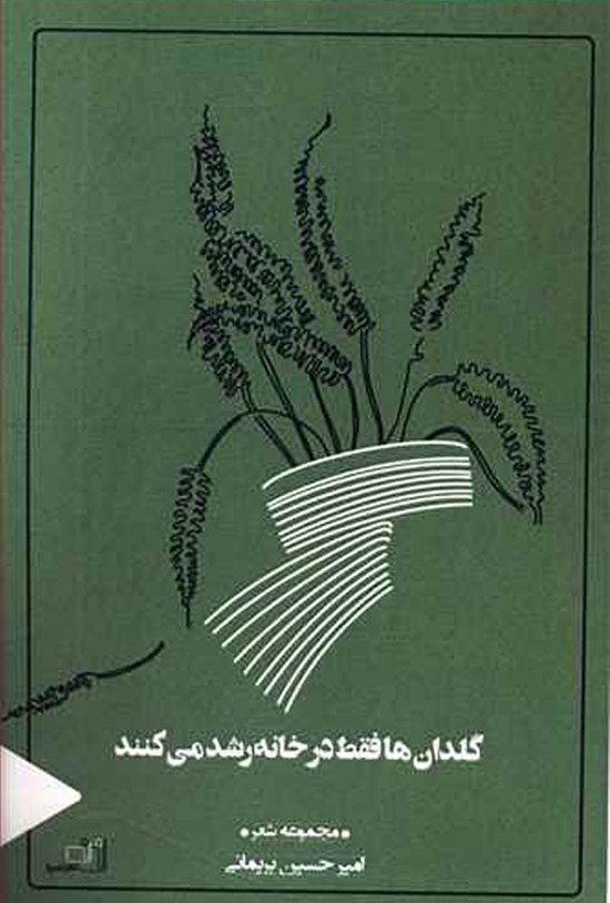 تصویر جلد کتاب گلدانها فقط در خانه رشد میکنند
