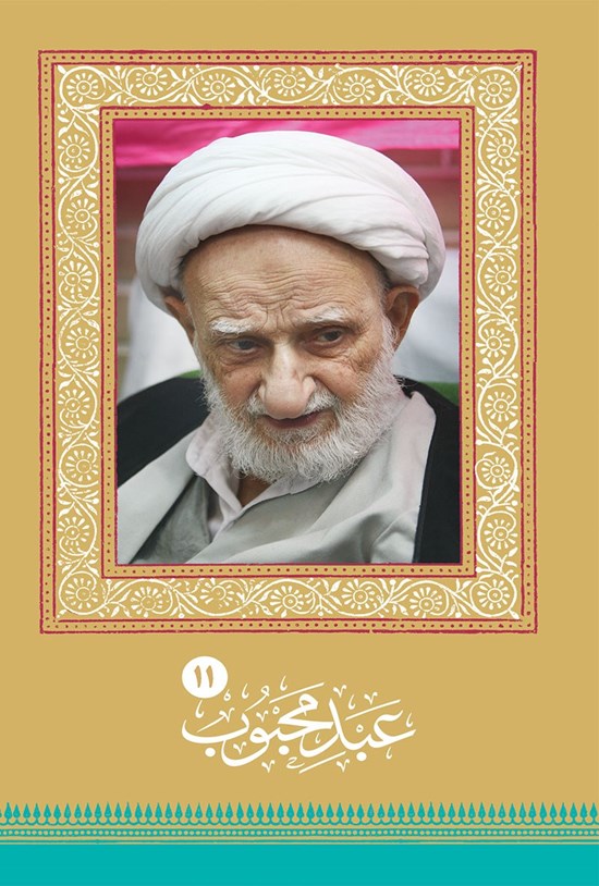 تصویر جلد کتاب عبد محبوب، جلد ۱۱