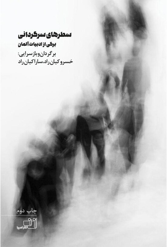 تصویر جلد کتاب سطرهای سرگردانی