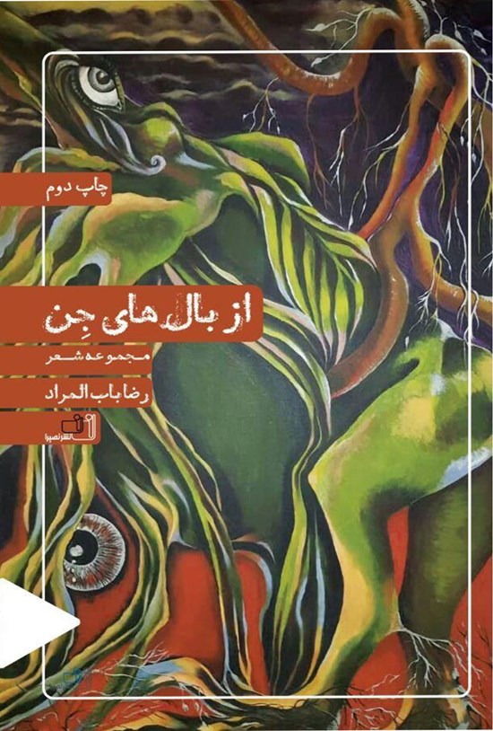 تصویر جلد کتاب از بالهای جن