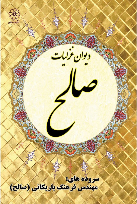 تصویر جلد کتاب دیوان غزلیات صالح