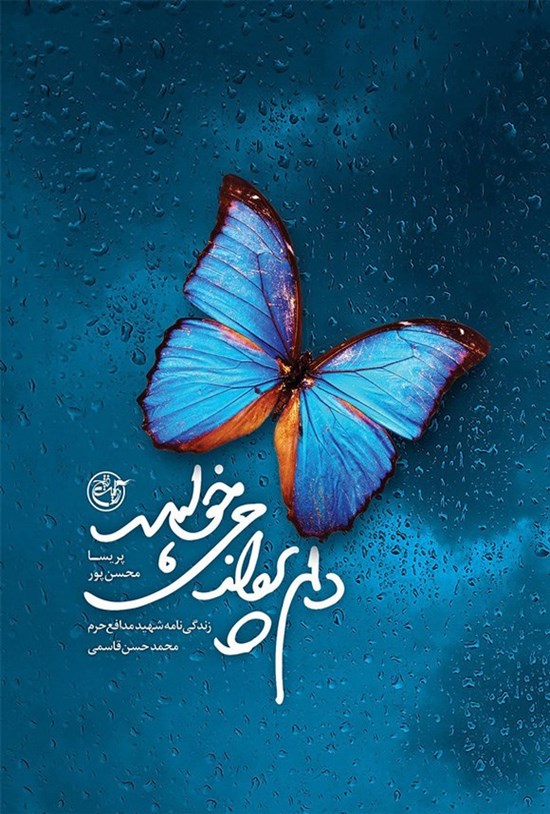 تصویر جلد کتاب دلم پرواز می خواهد