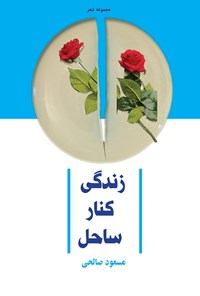 تصویر جلد کتاب زندگی کنار ساحل