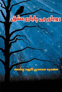 تصویر جلد کتاب رؤیایی بیپایان عشق