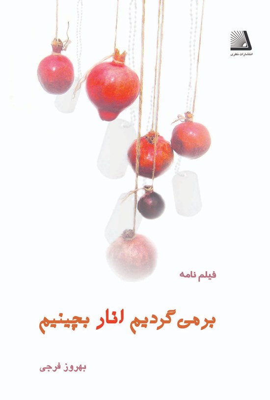 تصویر جلد کتاب برمیگردیم انار بچینیم