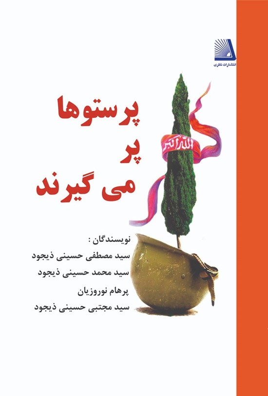 تصویر جلد کتاب پرستوها پر میگیرند