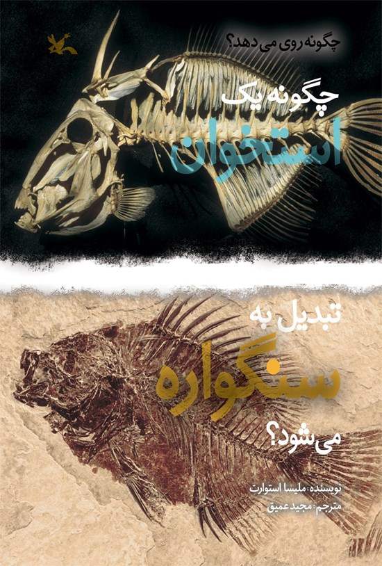 تصویر جلد کتاب چگونه یک استخوان تبدیل به سنگواره میشود؟