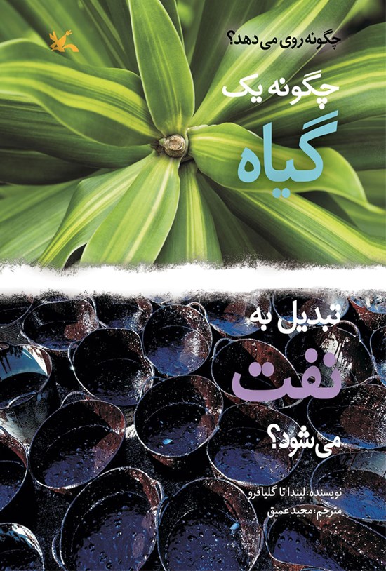 تصویر جلد کتاب چگونه یک گیاه تبدیل به نفت میشود؟