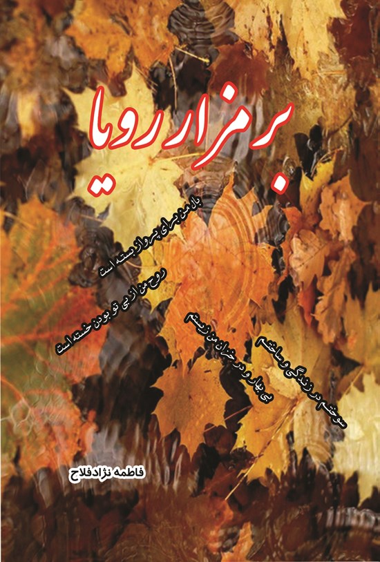 تصویر جلد کتاب بر مزار رؤیا