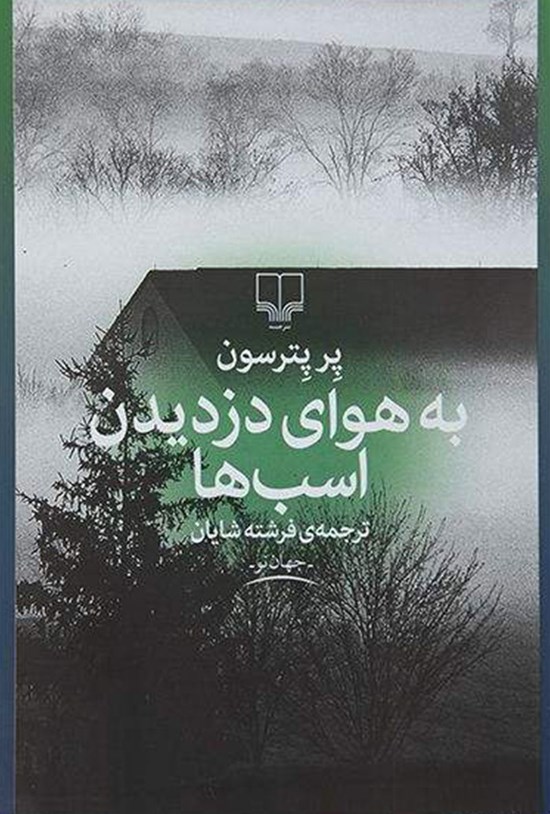تصویر جلد کتاب به هوای دزدیدن اسبها