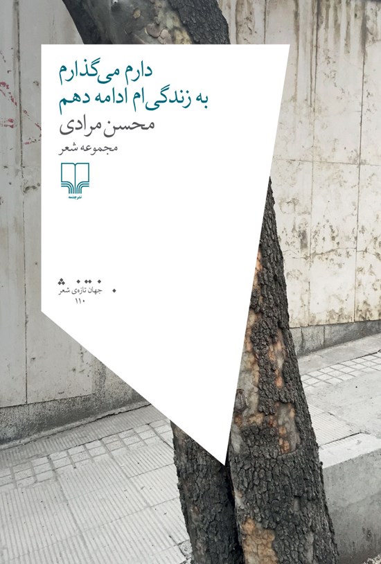 تصویر جلد کتاب دارم میگذارم به زندگیام ادامه دهم