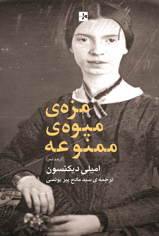 تصویر جلد کتاب مزهی میوهی ممنوعه
