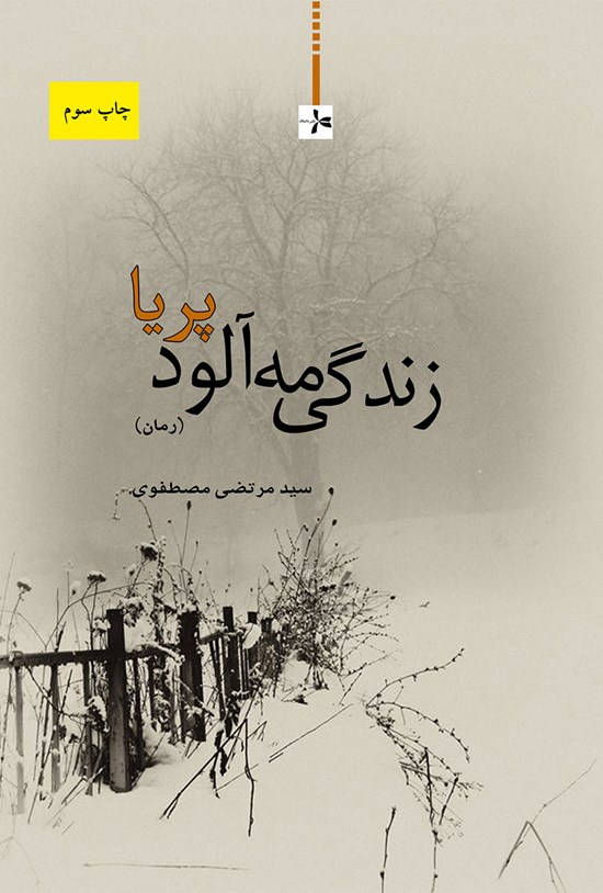 تصویر جلد کتاب زندگی مهآلود پریا