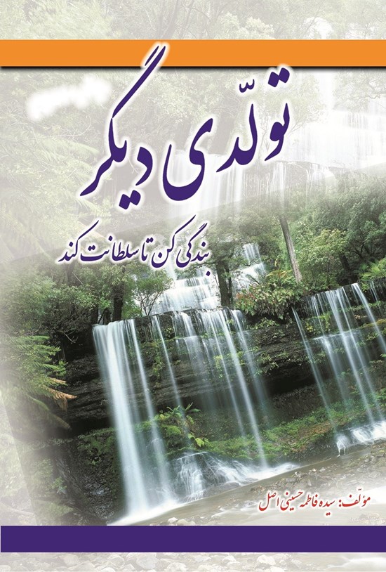 تصویر جلد کتاب تولدی دیگر