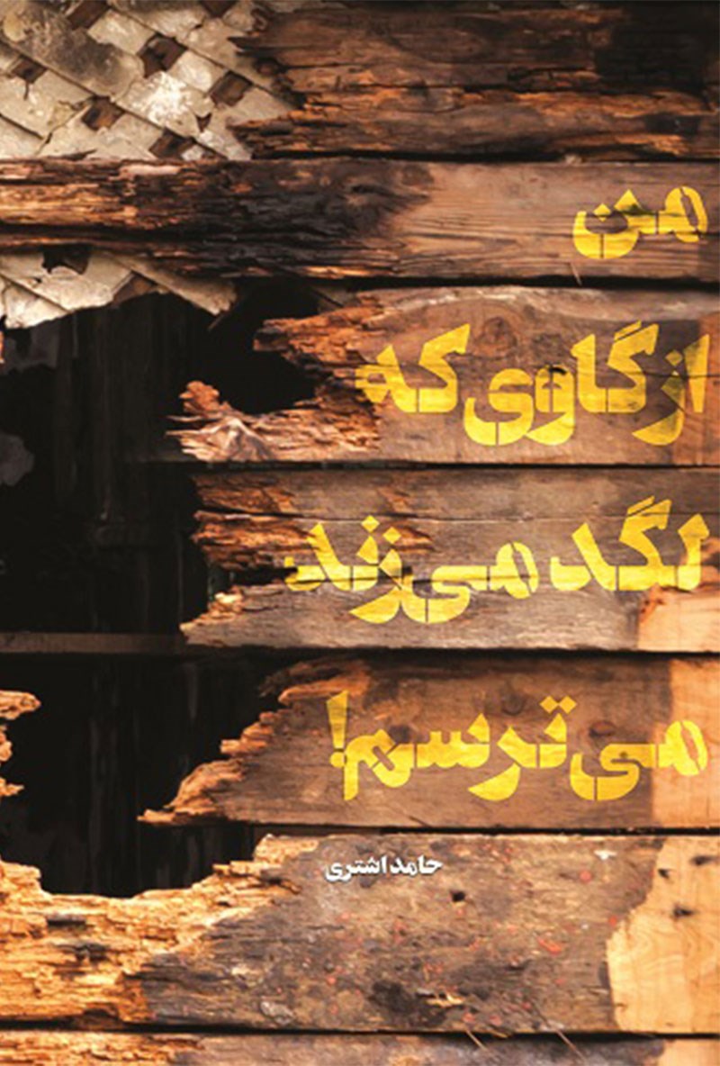 تصویر جلد کتاب من از گاوی که لگد میزند میترسم