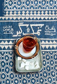 تصویر جلد کتاب نمک گیر