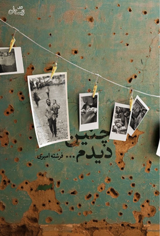 تصویر جلد کتاب چنین دیدم