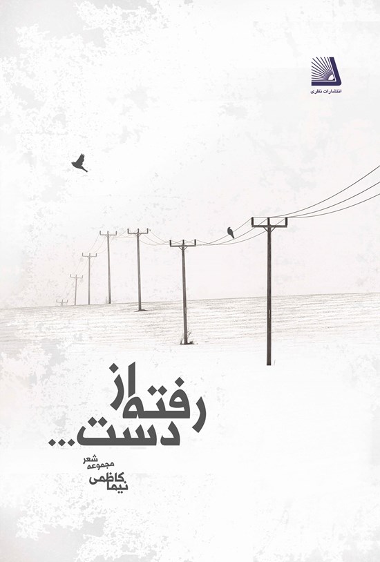تصویر جلد کتاب رفته از دست