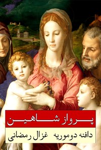 تصویر جلد کتاب پرواز شاهین