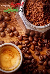 تصویر جلد کتاب نشریه گنجینه تجارت