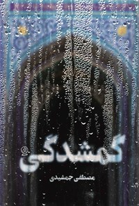 تصویر جلد کتاب گمشدگی