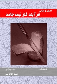 کتاب اصول و مبانی فرآیند فلز نیمه جامد اثر میلاد بایگان