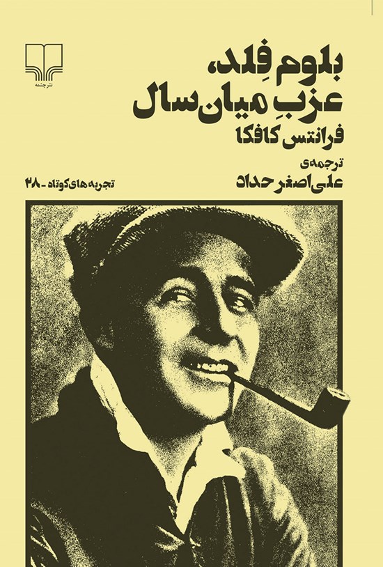 تصویر جلد کتاب بلوم فلد، عزب میانسال