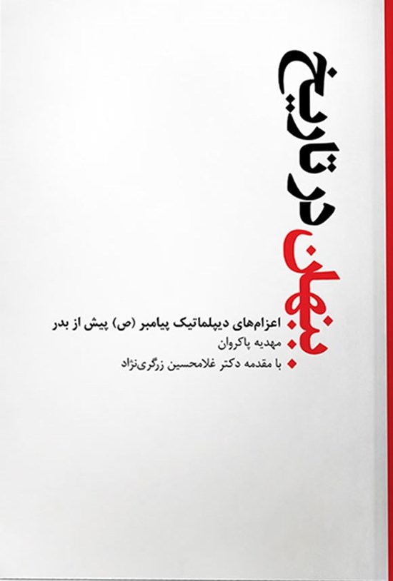 تصویر جلد کتاب پنهان در تاریخ
