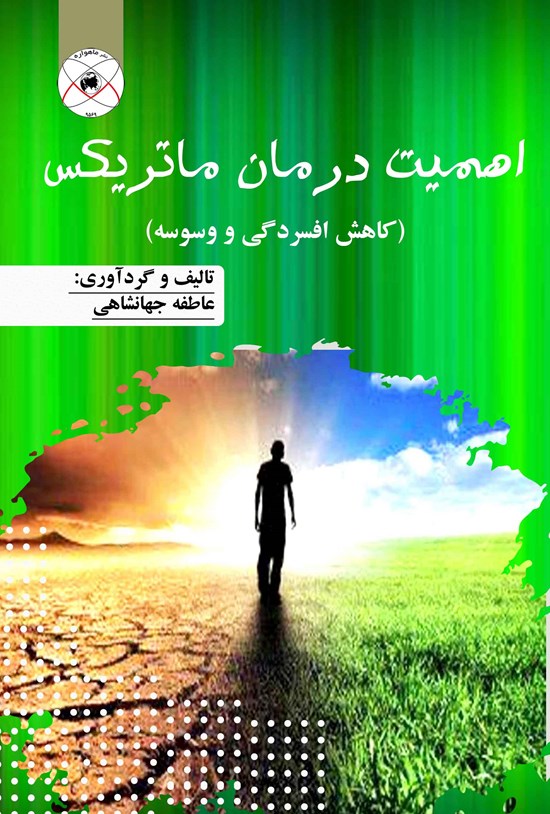 تصویر جلد کتاب اهمیت درمان ماتریکس؛ کاهش افسردگی و وسوسه
