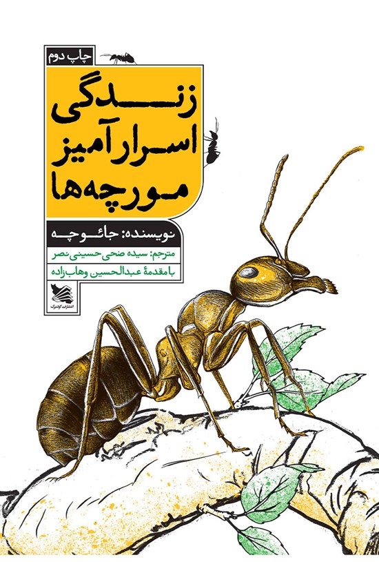 تصویر جلد کتاب زندگی اسرارآمیز مورچهها