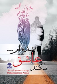 تصویر جلد کتاب نکند عاشق شده‌ام ...